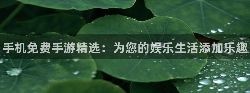 多彩娱乐平台注册资金多少：手机免费手游精选：为您的娱乐生活添
