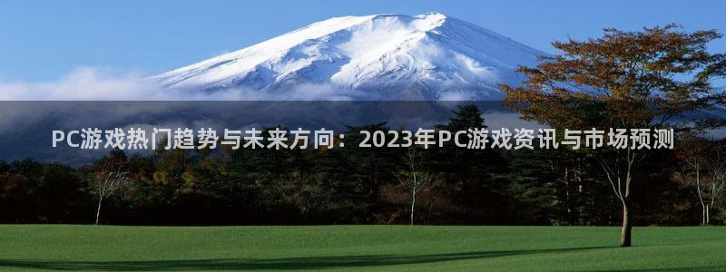 多彩娱乐测速：PC游戏热门趋势与未来方向：2023年PC游戏