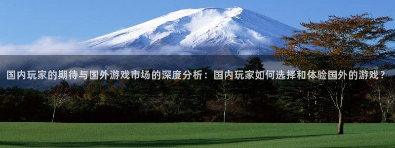 手机多彩娱乐下载安装：国内玩家的期待与国外游戏市场的深度分析