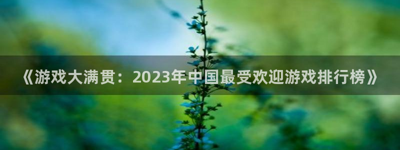 多彩娱乐平台登录入口：《游戏大满贯：2023年中国最受欢迎游