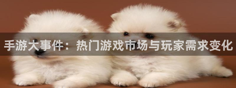 多彩娱乐平台注册资金多少：手游大事件：热门游戏市场与玩家需求
